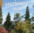 Уважаемые труженики и ветераны лесной отрасли! - Южский район