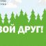 На территории Ивановской области введен особый противопожарный режим - Южский район