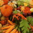 Ярмарка сельскохозяйственной продукции - Южский район