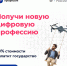 Цифровые профессии - Южский район