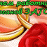 День работников органов ЗАГСа - Южский район