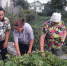 изображение_viber_2022-08-02_09-27-58-969.jpg - Центр соцобслуживания