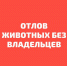 Внимание! Отлов животных (собак) - Южский район