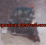 Устранение последствий непогоды - Южский район