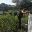 IMG-20240618-WA0004.jpg - Центр соцобслуживания