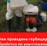 Борьба с борщевиком - Южский район