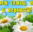 С Днём Семьи, Любви и Верности - Межпоселенческая ЦБ