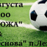 Болеем за наших! - Южский район