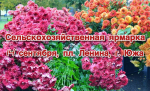 Ярмарка сельскохозяйственной продукции