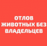 Отлов животных без владельцев - Южский район