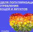 Неделя популяризации потребления овощей и фруктов - Южский район