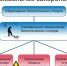 Профилактика заражения птицы вирусом высокопатогенного гриппа - Южский район
